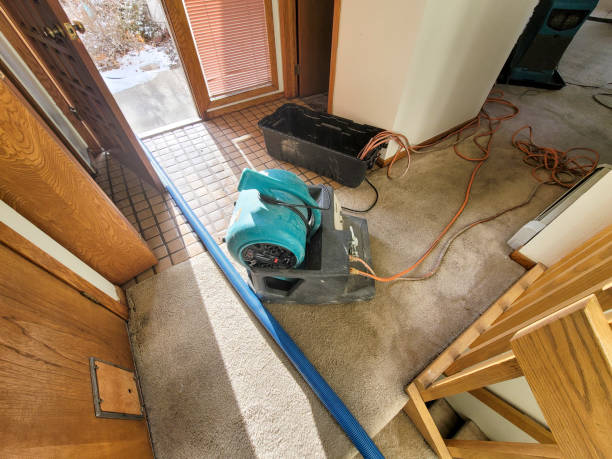 Local water damage restoration in NJ