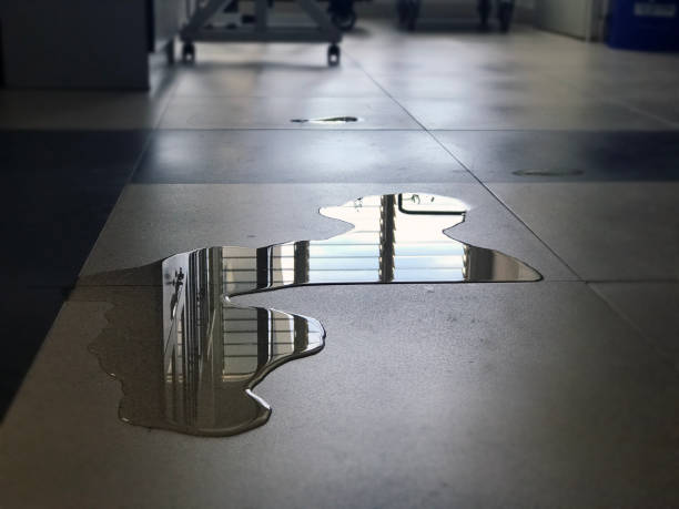 Best Water damage restoration near me  in Upper Saddle River, NJ