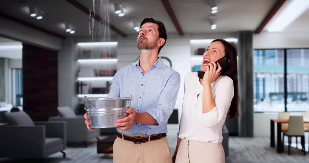 Best Mold removal after water damage  in Upper Saddle River, NJ